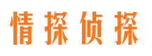 郏县侦探公司